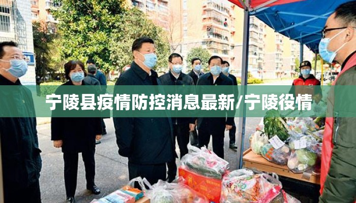 宁陵县疫情防控消息最新/宁陵役情