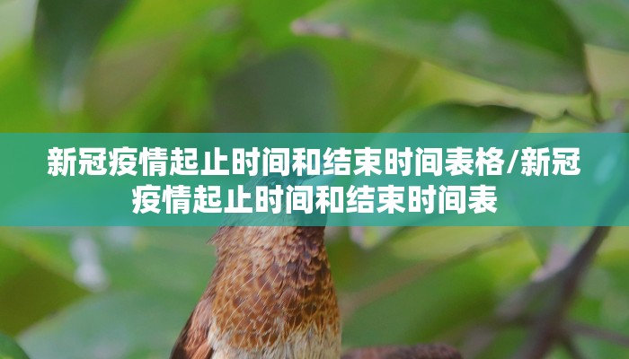 新冠疫情起止时间和结束时间表格/新冠疫情起止时间和结束时间表
