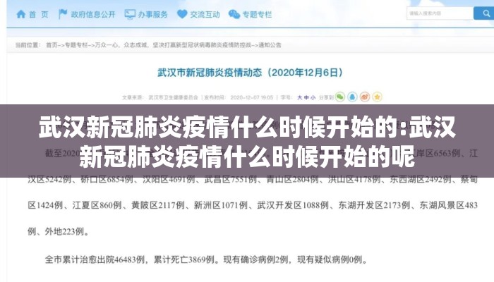 武汉新冠肺炎疫情什么时候开始的:武汉新冠肺炎疫情什么时候开始的呢