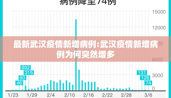最新武汉疫情新增病例:武汉疫情新增病例为何突然增多
