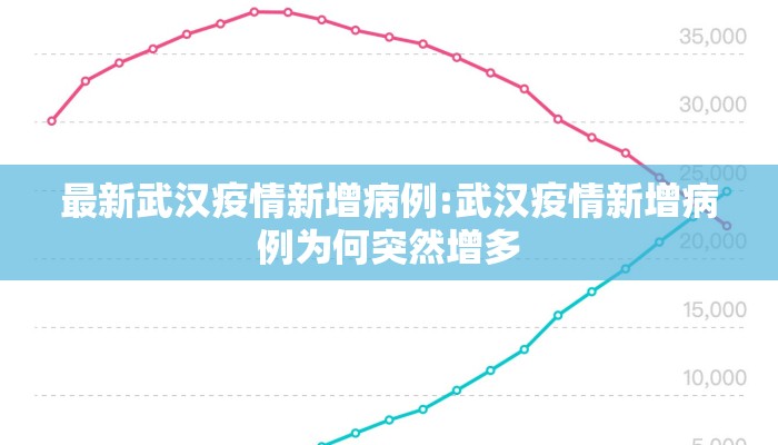 最新武汉疫情新增病例:武汉疫情新增病例为何突然增多