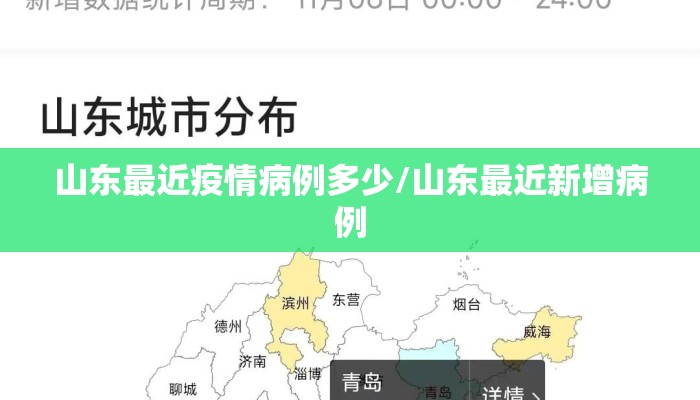 山东最近疫情病例多少/山东最近新增病例