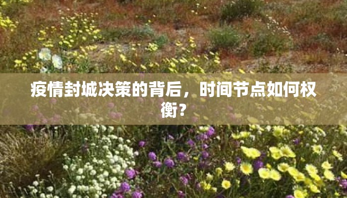 疫情封城决策的背后，时间节点如何权衡？