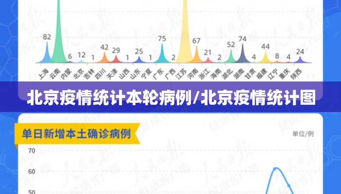 北京疫情统计本轮病例/北京疫情统计图