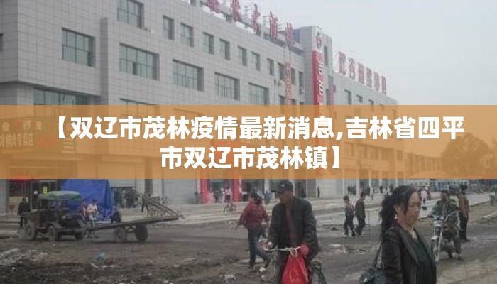 【双辽市茂林疫情最新消息,吉林省四平市双辽市茂林镇】