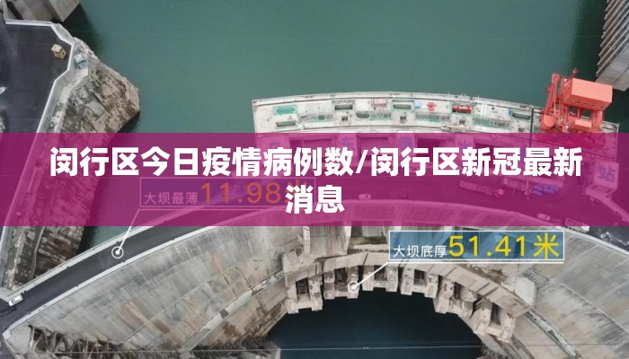 闵行区今日疫情病例数/闵行区新冠最新消息