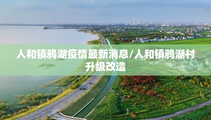 人和镇鸦湖疫情最新消息/人和镇鸦湖村升级改造