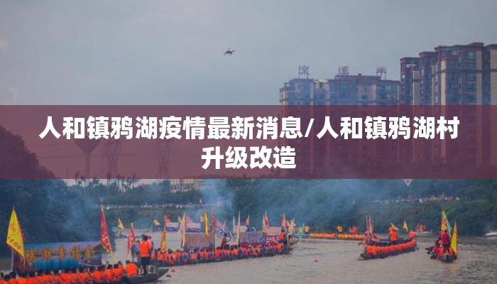 人和镇鸦湖疫情最新消息/人和镇鸦湖村升级改造