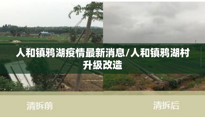 人和镇鸦湖疫情最新消息/人和镇鸦湖村升级改造