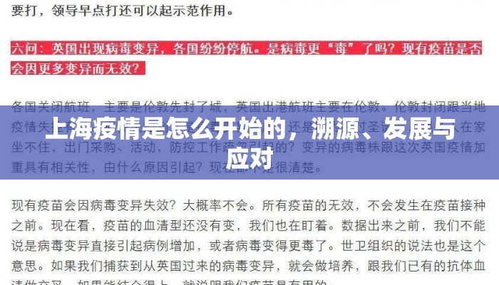 上海疫情是怎么开始的，溯源、发展与应对