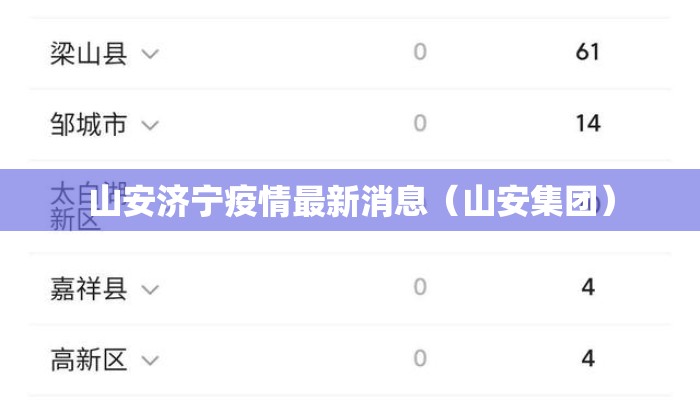 山安济宁疫情最新消息（山安集团）