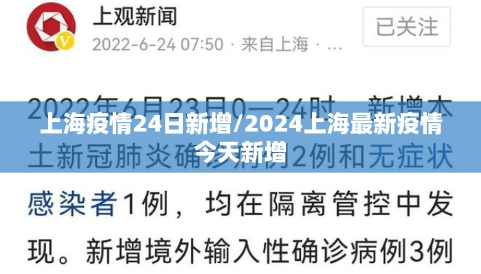 上海疫情24日新增/2024上海最新疫情今天新增