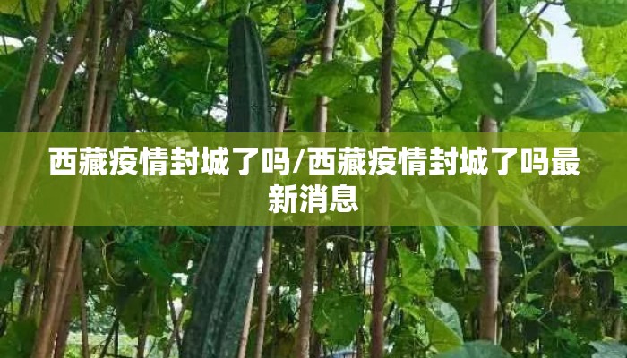 西藏疫情封城了吗/西藏疫情封城了吗最新消息