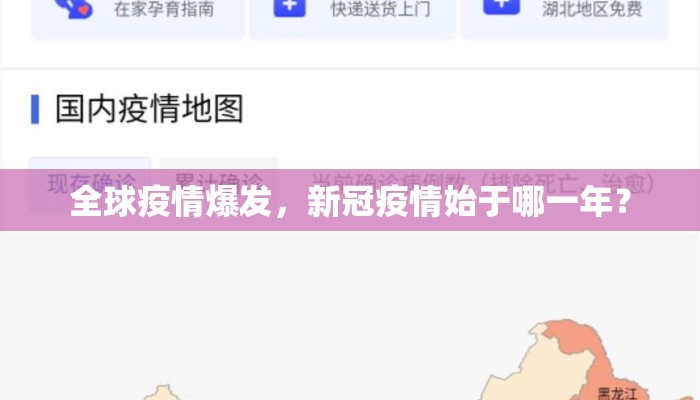 全球疫情爆发，新冠疫情始于哪一年？
