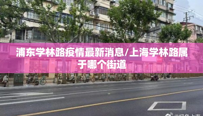 浦东学林路疫情最新消息/上海学林路属于哪个街道