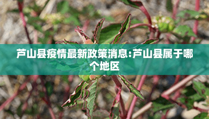 芦山县疫情最新政策消息:芦山县属于哪个地区