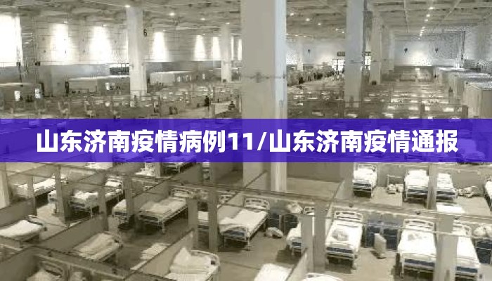 山东济南疫情病例11/山东济南疫情通报