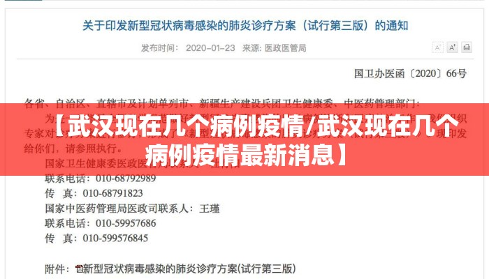 【武汉现在几个病例疫情/武汉现在几个病例疫情最新消息】