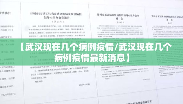 【武汉现在几个病例疫情/武汉现在几个病例疫情最新消息】