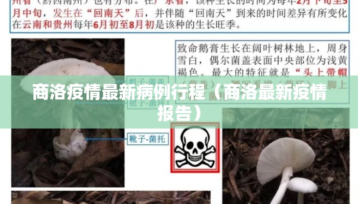 商洛疫情最新病例行程（商洛最新疫情报告）