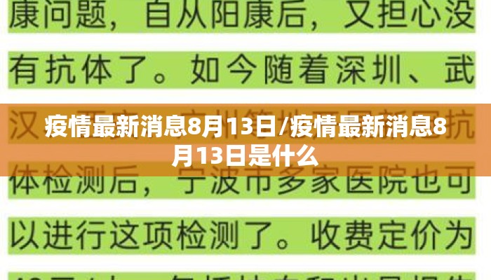 疫情最新消息8月13日/疫情最新消息8月13日是什么