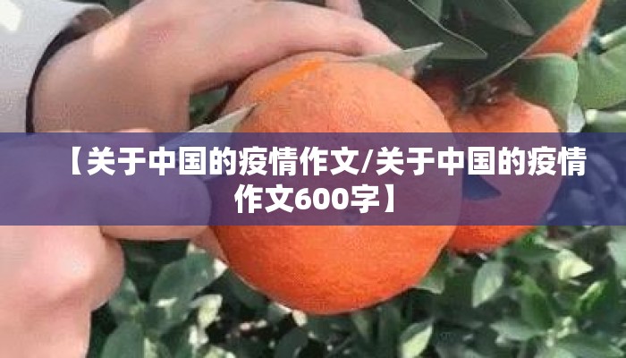 【关于中国的疫情作文/关于中国的疫情作文600字】