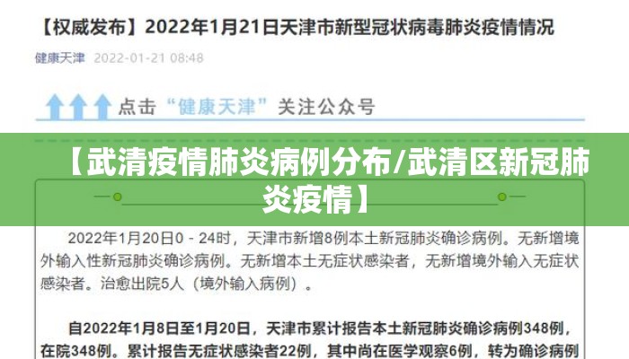 【武清疫情肺炎病例分布/武清区新冠肺炎疫情】