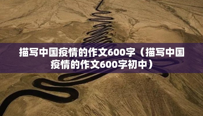描写中国疫情的作文600字（描写中国疫情的作文600字初中）