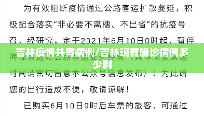 吉林疫情共有病例/吉林现有确诊病例多少例