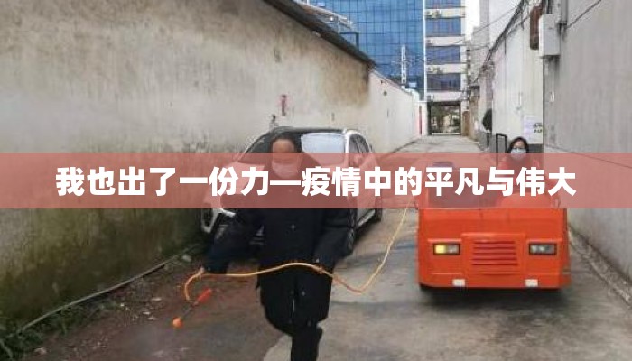 我也出了一份力—疫情中的平凡与伟大