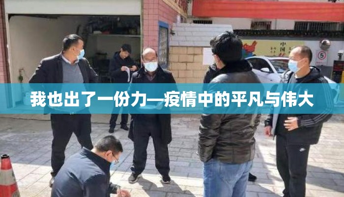 我也出了一份力—疫情中的平凡与伟大