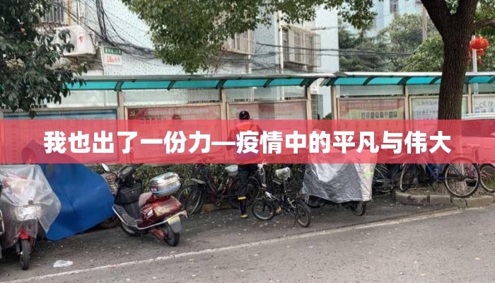 我也出了一份力—疫情中的平凡与伟大