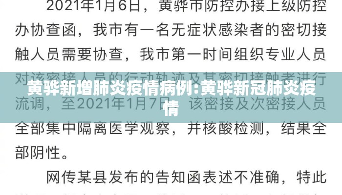 黄骅新增肺炎疫情病例:黄骅新冠肺炎疫情