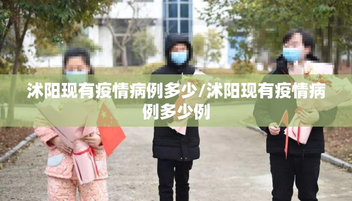 沭阳现有疫情病例多少/沭阳现有疫情病例多少例