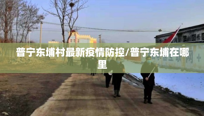 普宁东埔村最新疫情防控/普宁东埔在哪里