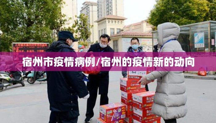 宿州市疫情病例/宿州的疫情新的动向