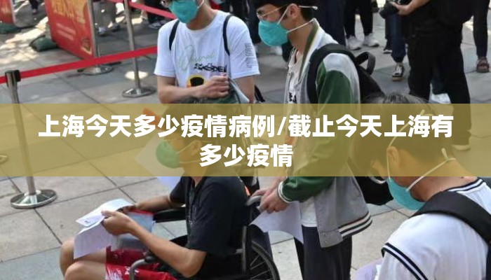 上海今天多少疫情病例/截止今天上海有多少疫情