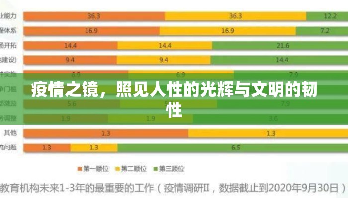 疫情之镜，照见人性的光辉与文明的韧性
