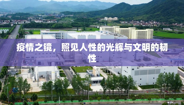 疫情之镜，照见人性的光辉与文明的韧性