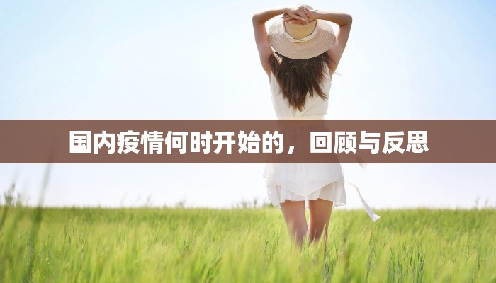 国内疫情何时开始的，回顾与反思