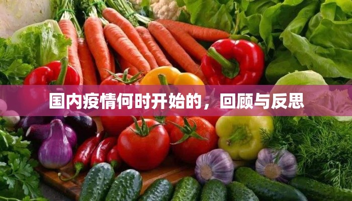 国内疫情何时开始的，回顾与反思