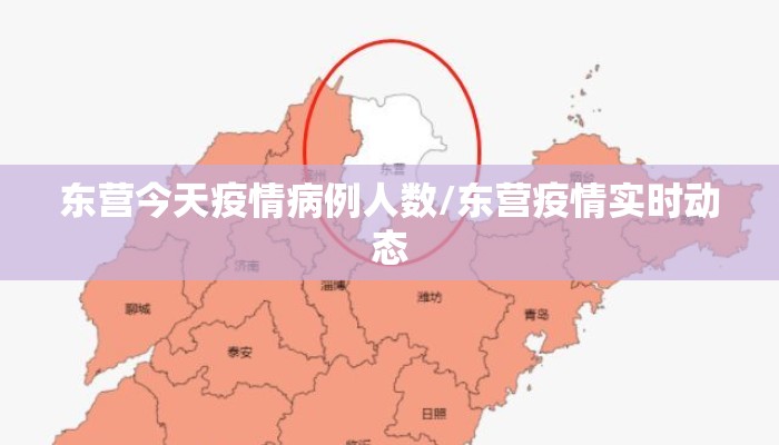 东营今天疫情病例人数/东营疫情实时动态