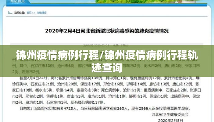 锦州疫情病例行程/锦州疫情病例行程轨迹查询