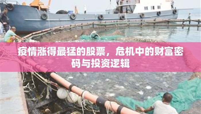 疫情涨得最猛的股票，危机中的财富密码与投资逻辑