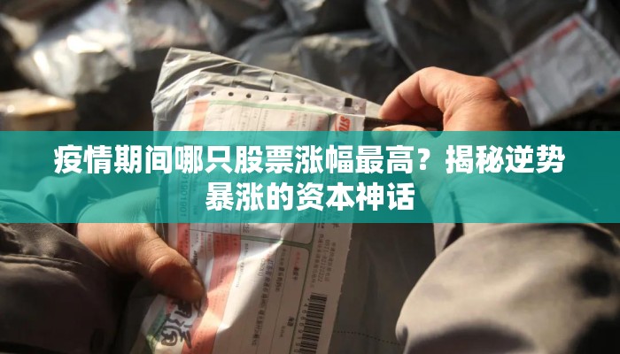 疫情期间哪只股票涨幅最高？揭秘逆势暴涨的资本神话