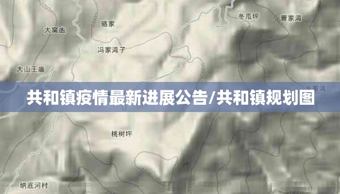 共和镇疫情最新进展公告/共和镇规划图