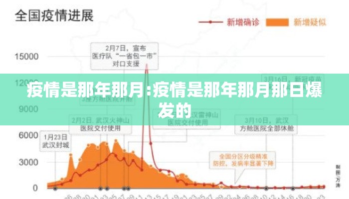 疫情是那年那月:疫情是那年那月那日爆发的