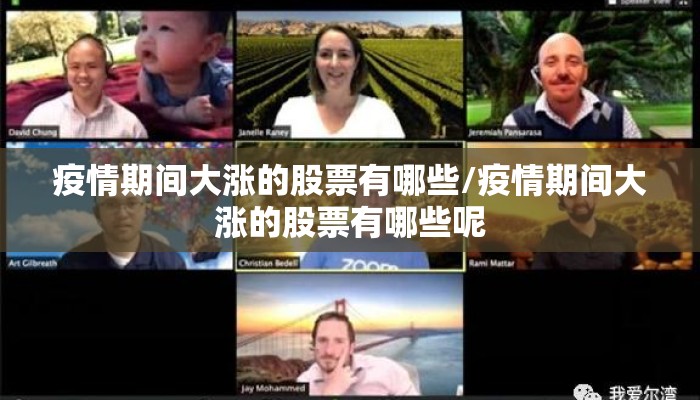 疫情期间大涨的股票有哪些/疫情期间大涨的股票有哪些呢