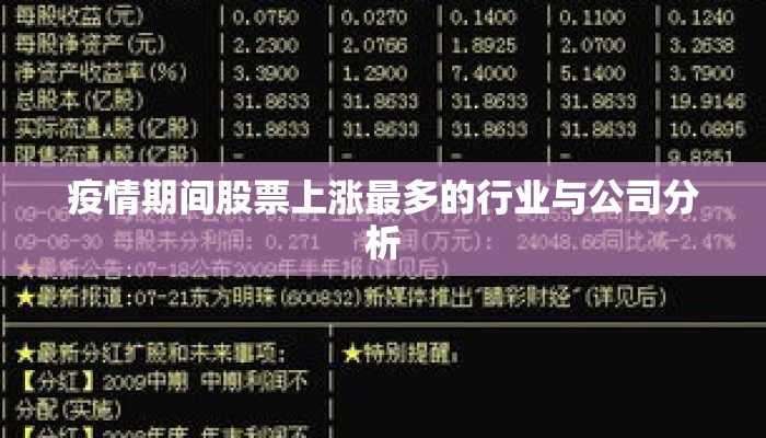 疫情期间股票上涨最多的行业与公司分析