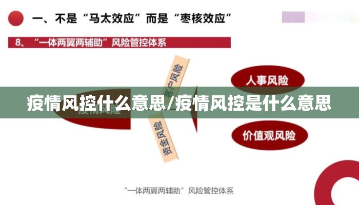 疫情风控什么意思/疫情风控是什么意思